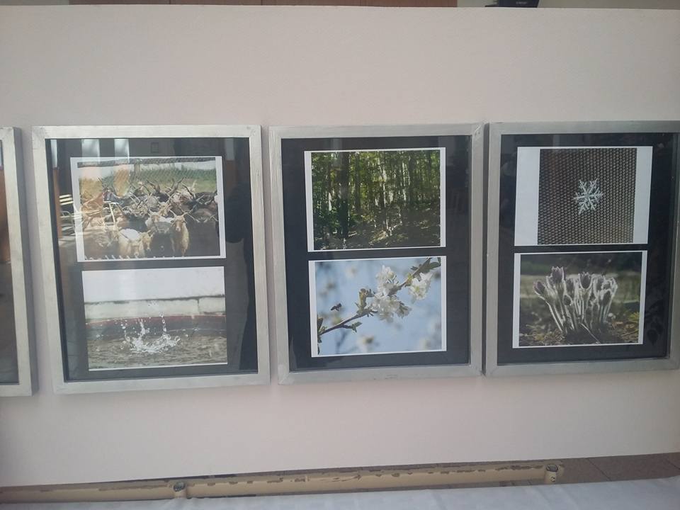 Fenntarthatósági Témahét 2017